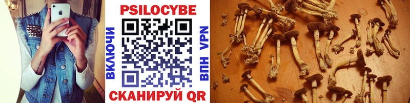 Галлюциногенные грибы GOLDEN TEACHER  Вышний Волочёк 