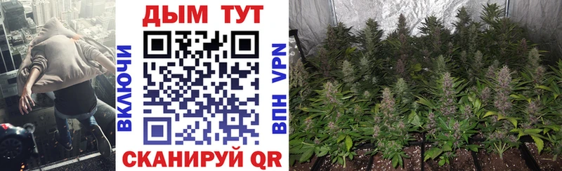 Бошки Шишки Ganja  Вышний Волочёк 